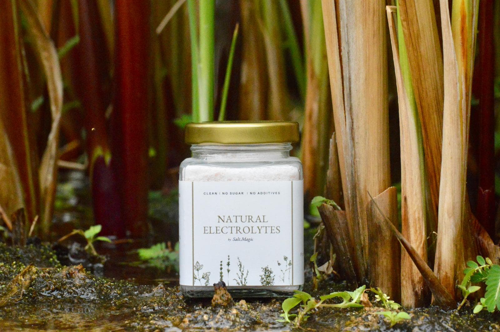 Salt.Magic jar in tropical water among natural plants - Koh Samui, Thailand